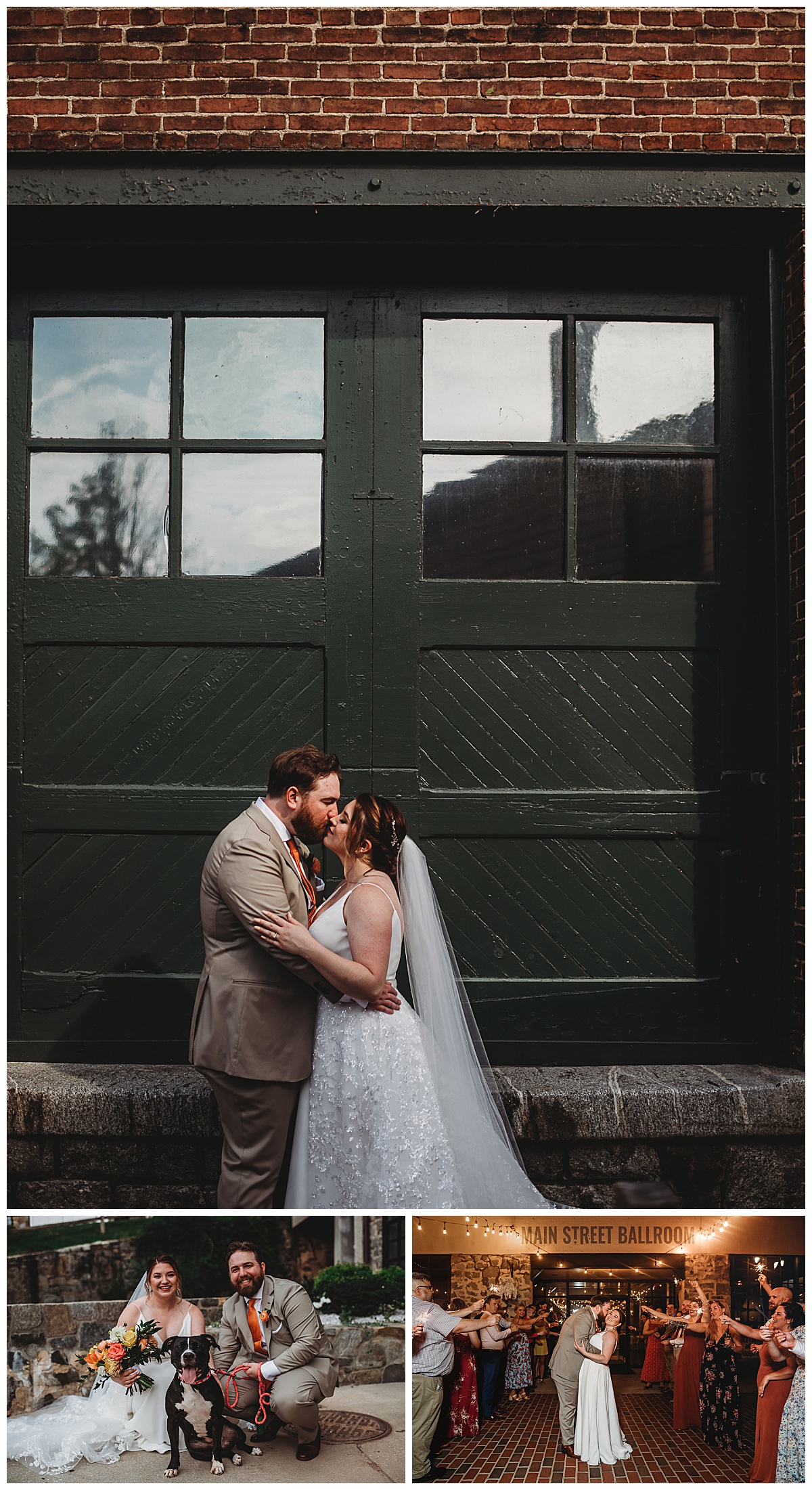 Bride and groom portraits with their dog at a summer wedding at Mainstreet Ballroom captured by Brittany Dunbar Photography, an Ellicott City Wedding Photographer.