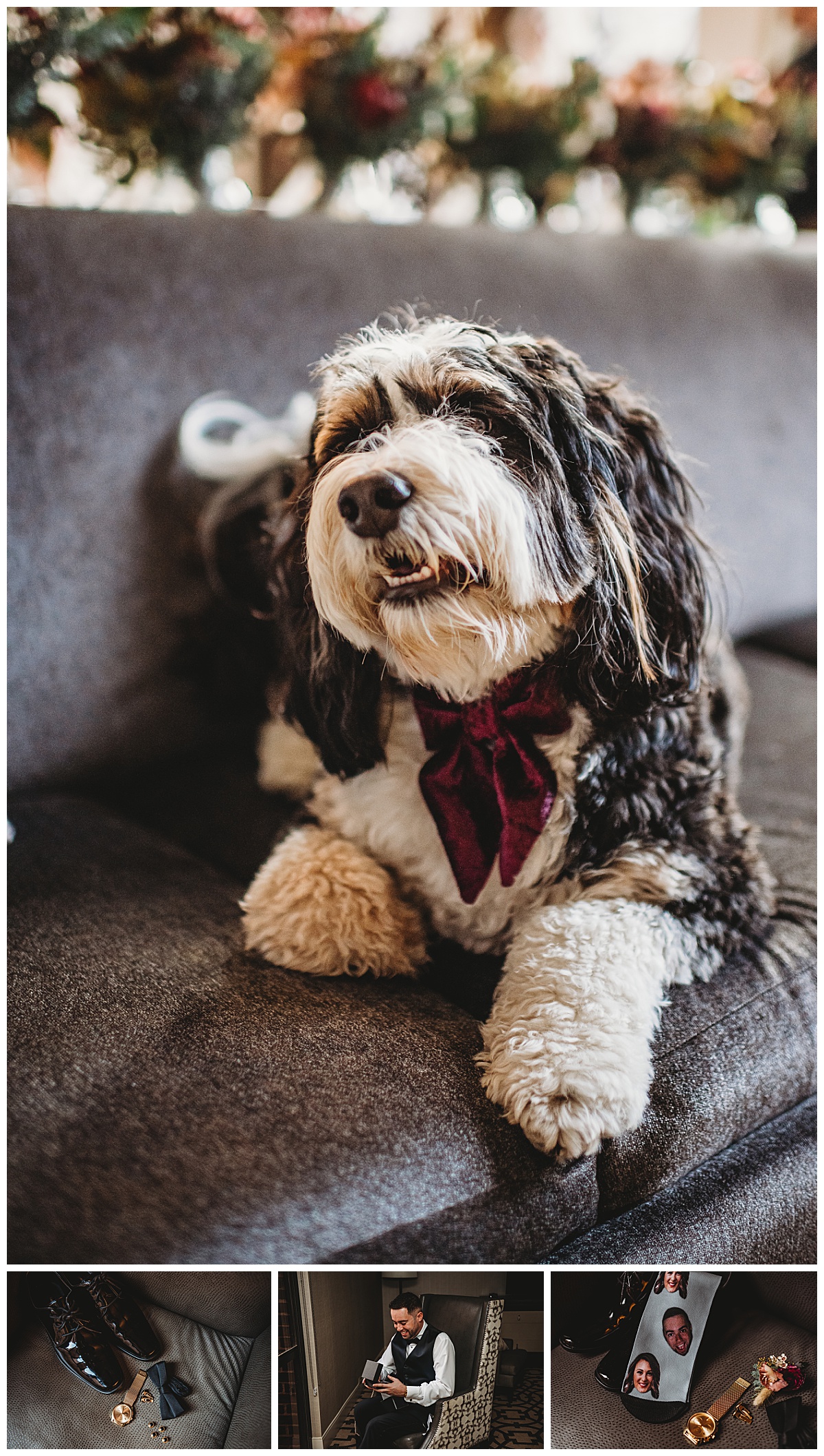 Getting ready photos with dog for a moody winter wedding in Baltimore by Brittany Dunbar Photography, a Baltimore Wedding Photographer.