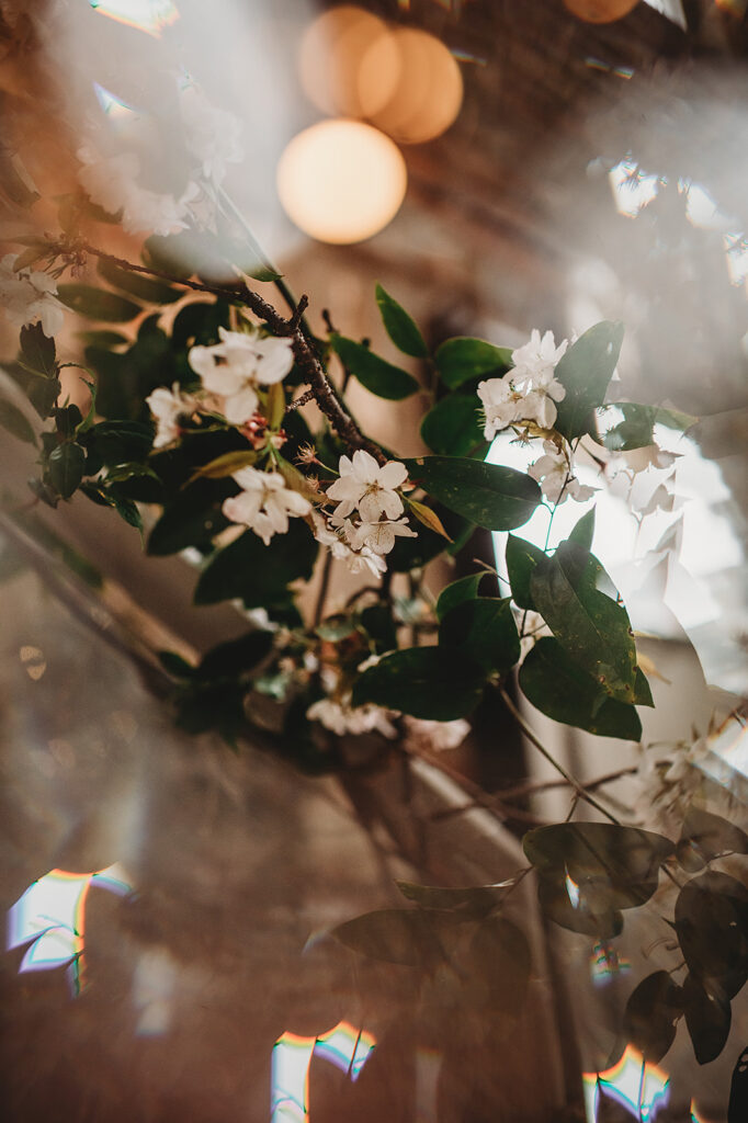 Baltimore wedding photographers capture lights and flowers