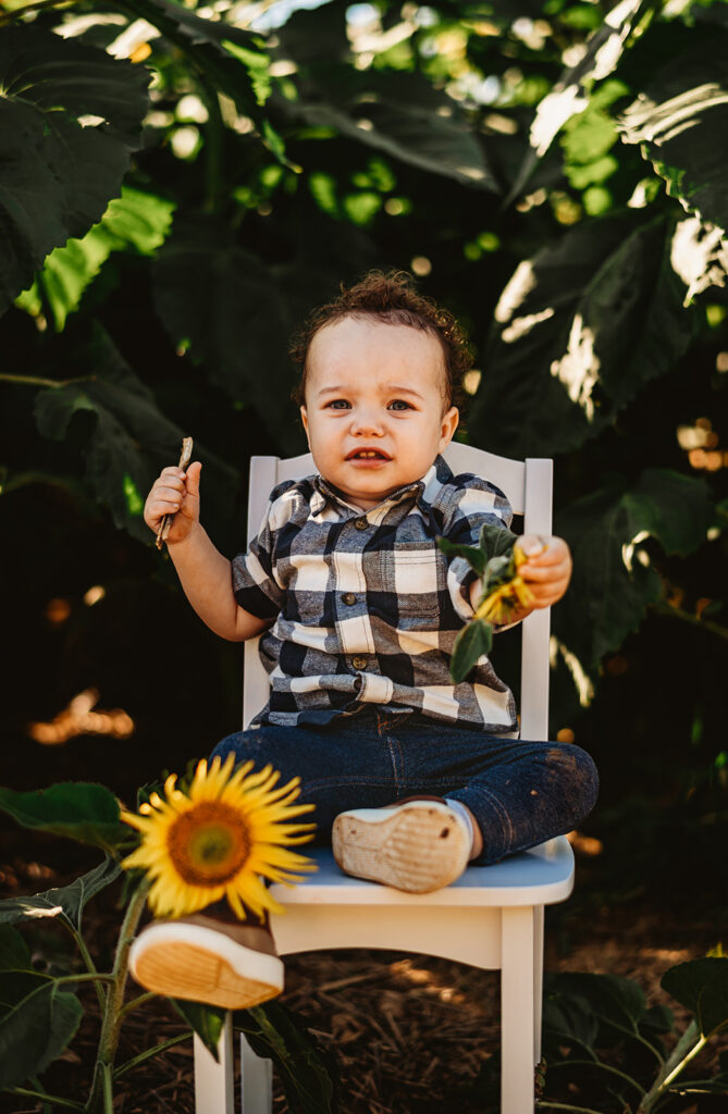 Baltimore photographers capture baby sitting on chair during sunflower portraits