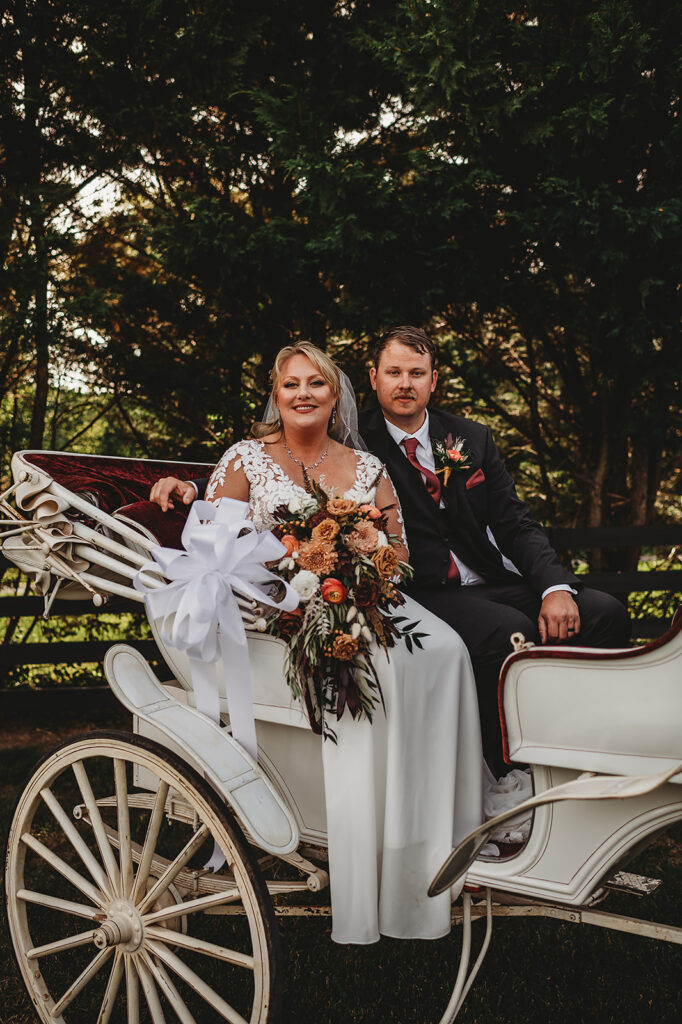 Baltimore wedding photographer captures bride and groom sitting in carriage