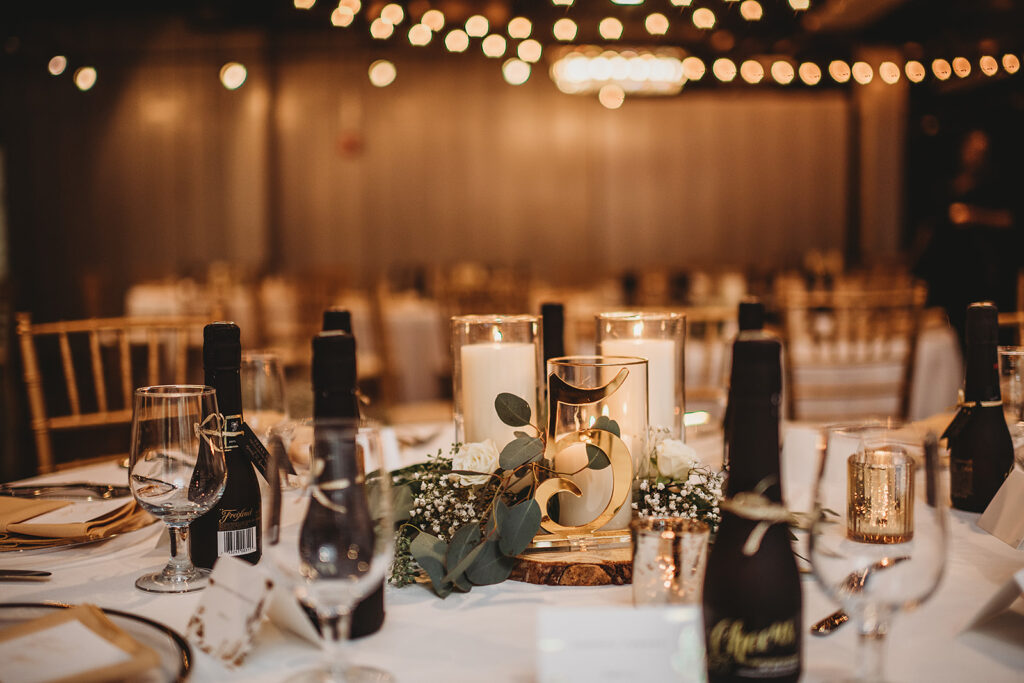 Maryland wedding photographer captures overview of evening reception 