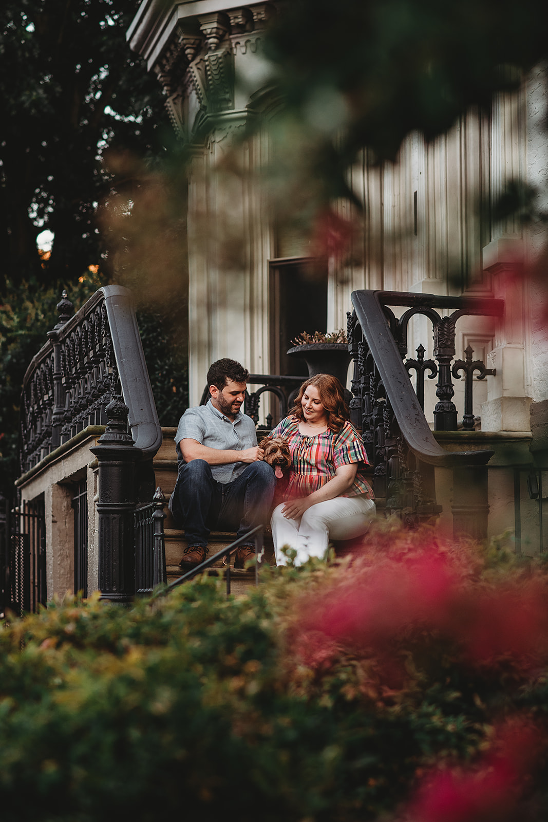 man and woman sit on stone stairs that lead to a historic home in DC with their dog with rose bushes surrounding the home for engagement photos