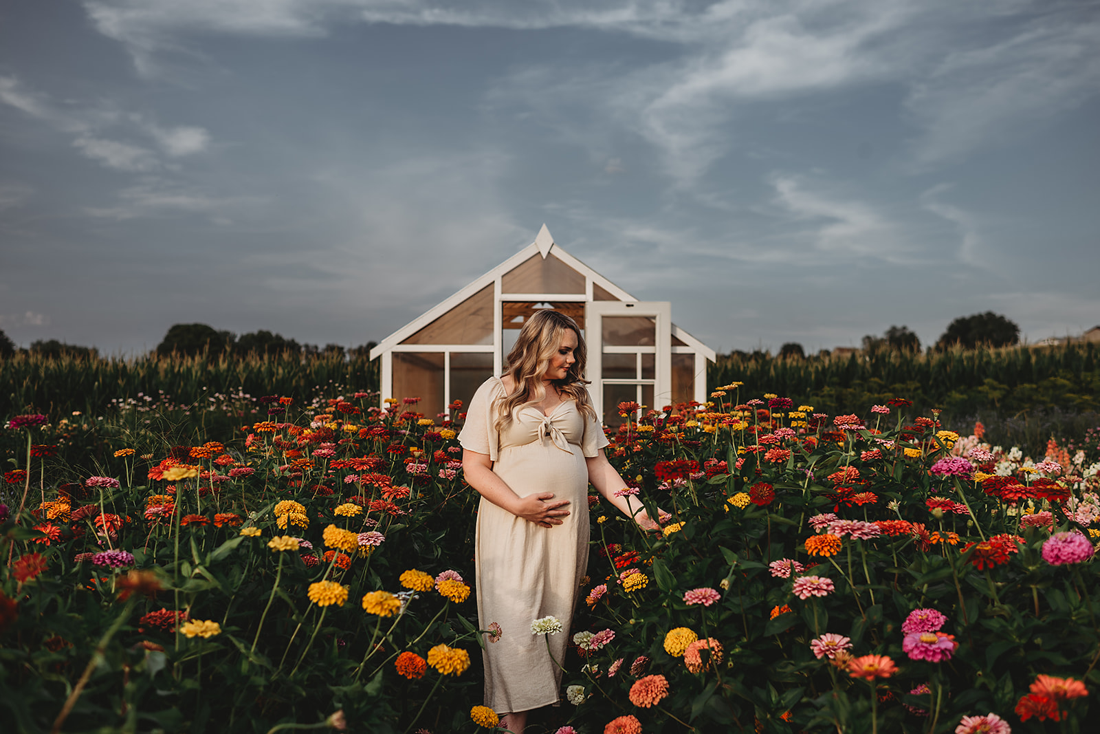 Baltimore Maternity photographer photographs outdoor maternity shoot in a flower garden with a cute white greenhouse at dusk