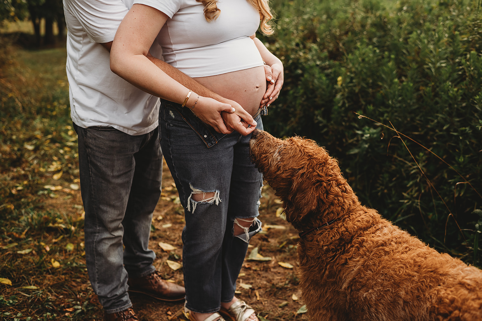 A pregnant woman in a white top and ripped jeans stands outdoors with her partner embracing her from behind, both hands cradling her bare belly. Their golden doodle gently sniffs her baby bump captured by maryland maternity photographer